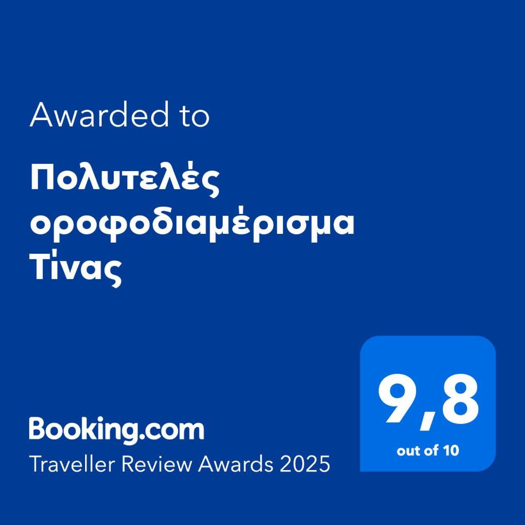 Πολυτελές Οροφοδιαμέρισμα Τίνας ヴォロス エクステリア 写真